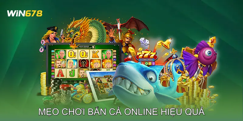 Mẹo Chơi Bắn Cá Online Tối Đa Hóa Lợi Nhuận Phiên Chơi 2 Mẹo chơi bắn cá online hiệu quả