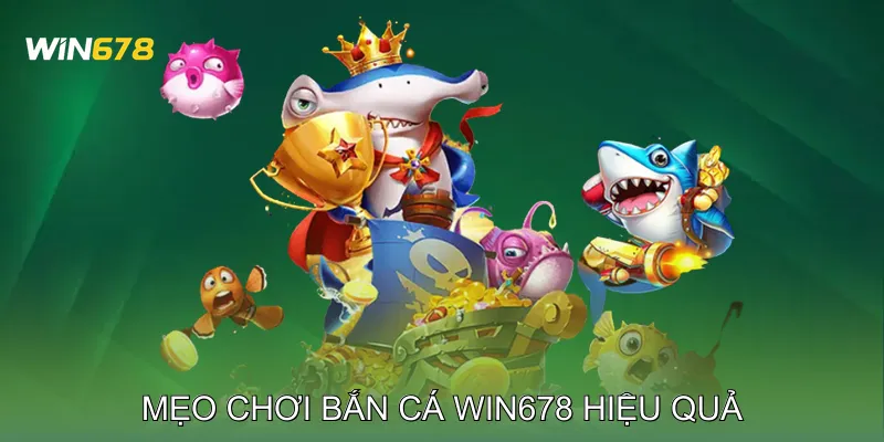 Bắn Cá Win678 Hệ Thống Điểm Thưởng Minh Bạch, An Toàn 4 Mẹo chơi Bắn cá Win678 hiệu quả